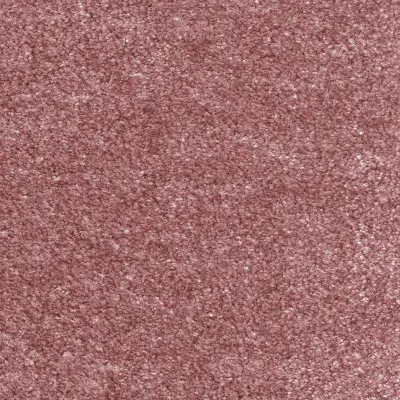 Obsession Aubergine