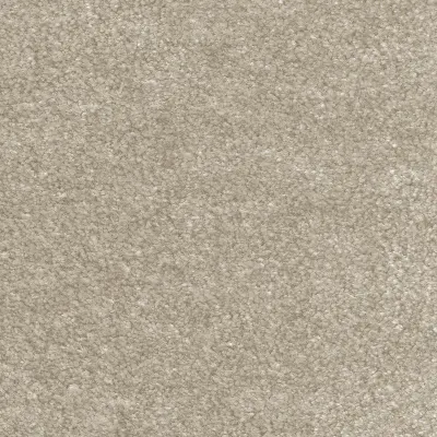 Obsession Suede