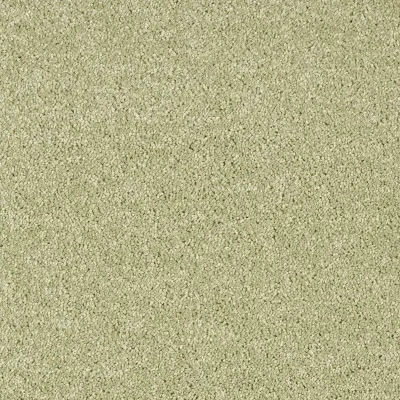 Parana Salix