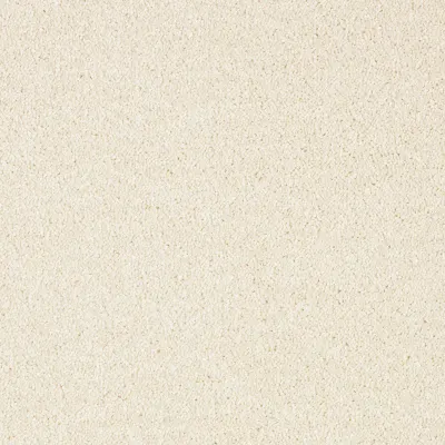 Rio Grande Ermine