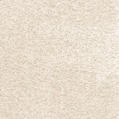 Secret Sahara