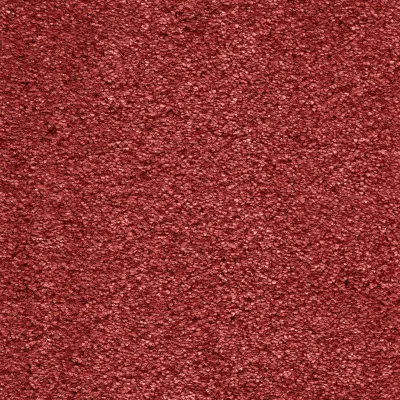 Sensation Deep Claret