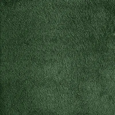 Silk Pine