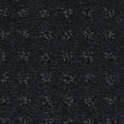 Atrium Moquette Atrium JAIS