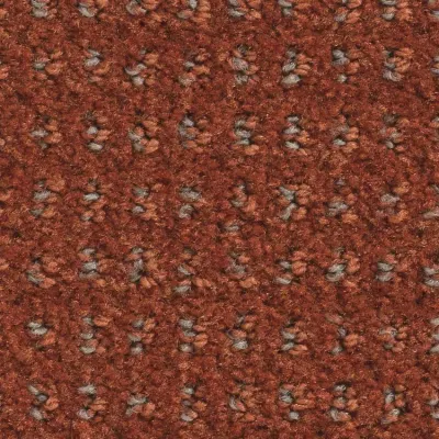 Baccarat Moquette Baccarat TERRE CUITE