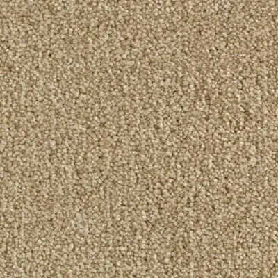 Boléro Moquette Boléro 640