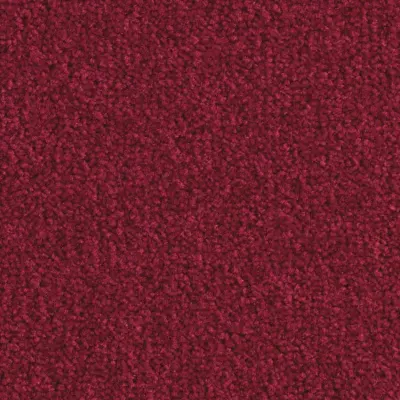 Boléro Moquette Boléro 570
