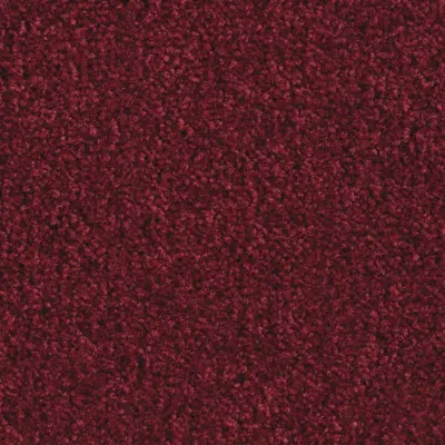 Boléro Moquette Boléro 590
