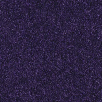 Boléro Moquette Boléro 895