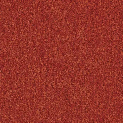 Boléro Moquette Boléro 485