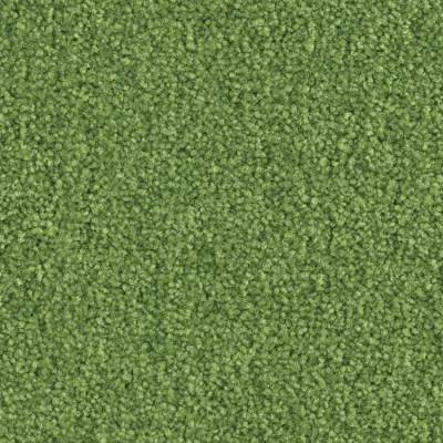 Boléro Moquette Boléro 244