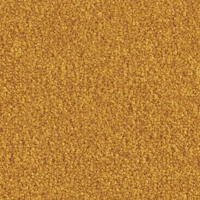 Boléro Moquette Boléro 350