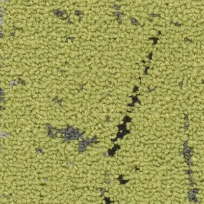 Crazy Moquette Crazy 260