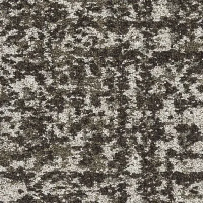 Darius Dalle Moquette Darius Dalle 600