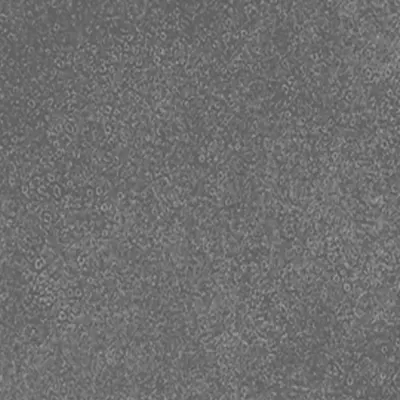 Dryback 55 - 45,72 x 91,44 cm Moquette DRYBACK 55 - 45,72x91,44 945