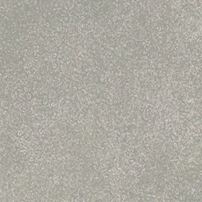 Dryback 55 - 45,72 x 91,44 cm Moquette DRYBACK 55 - 45,72x91,44 925