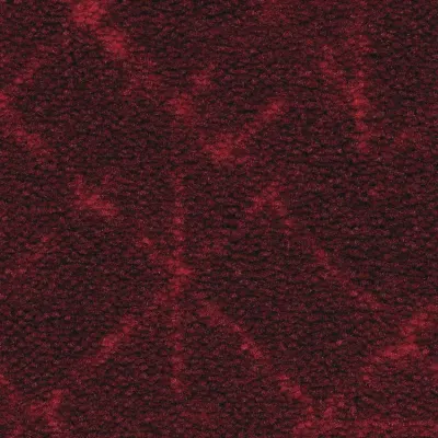 Graph Moquette Graph MAGMA