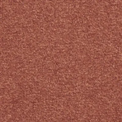 Les Best S Moquette Les Best  565