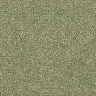 Les Best Moquette Les Best  255