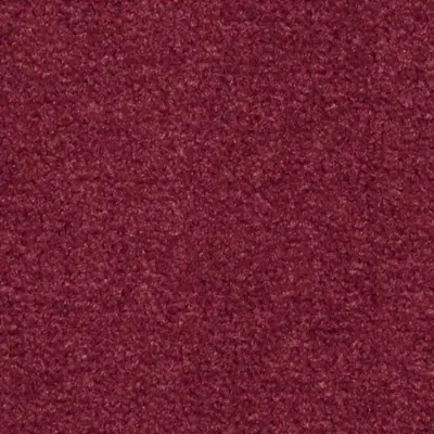 Les Best Moquette Les Best  585