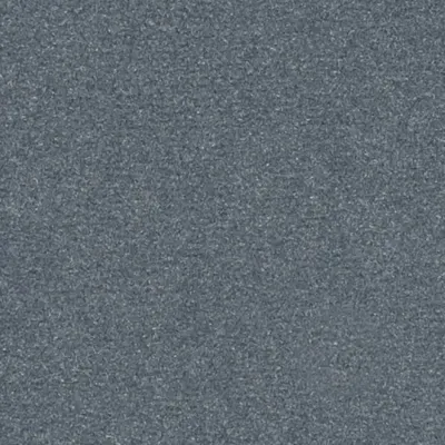 Les Greens Confort+ Moquette Les Greens Confort+  ONYX