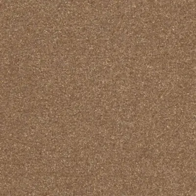 Les Greens Confort+ Moquette Les Greens Confort+  CARAMEL