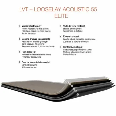 Looselay Acoustic 55