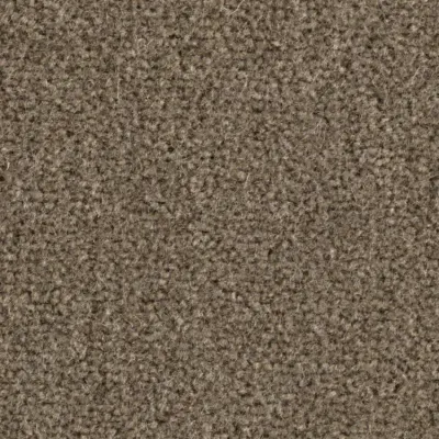 Majestic Moquette Majestic BRUNET