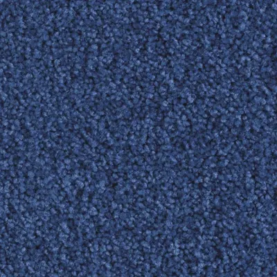 Scénario Moquette Scénario PARADIS