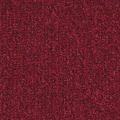 Scénario Moquette Scénario CARMIN