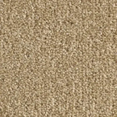 Scénario Moquette Scénario SABLE