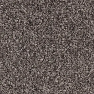 Scénario Moquette Scénario TAUPE