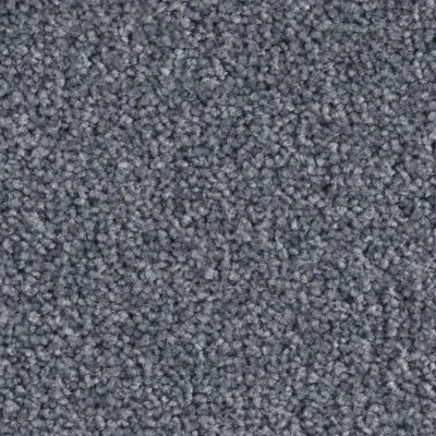 Scénario Moquette Scénario SILEX