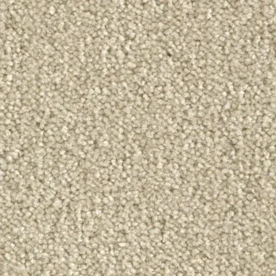 Scénario Moquette Scénario DUVET