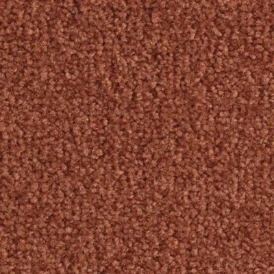 Scénario Moquette Scénario EPICE