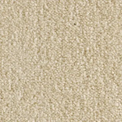 Scénario Moquette Scénario IVOIRE
