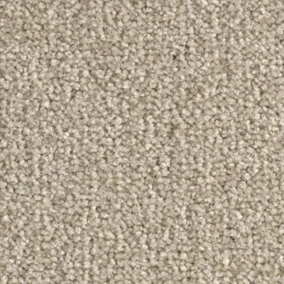 Scénario Moquette Scénario NACRE