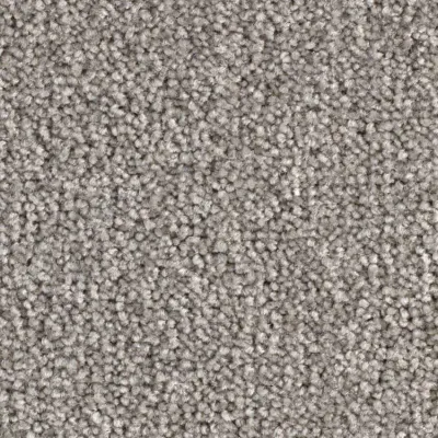 Scénario Moquette Scénario ARGENT