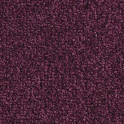 Scénario Moquette Scénario VIOLINE