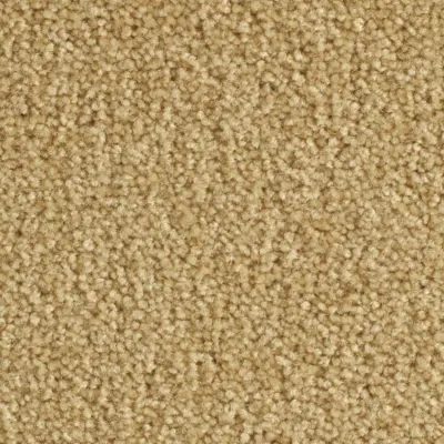 Scénario Moquette Scénario CHATAIN