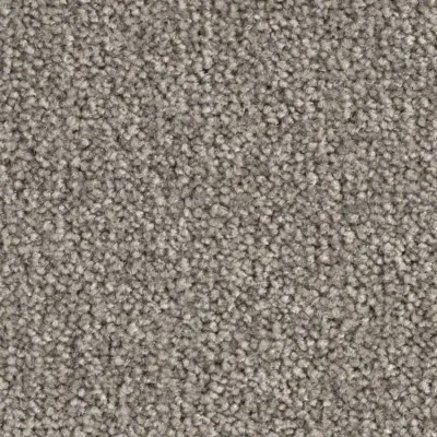 Scénario Moquette Scénario MARRON GLACE