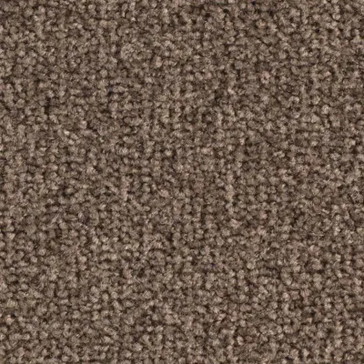 Scénario Moquette Scénario ZIBELINE