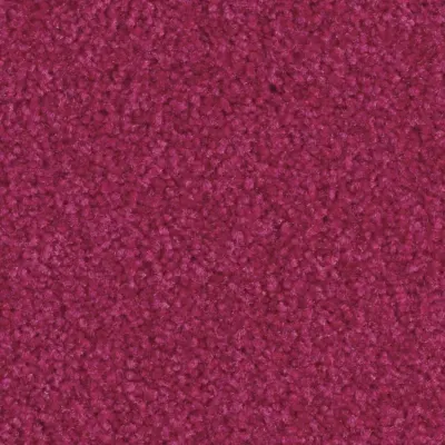 Scénario Moquette Scénario AZALEE