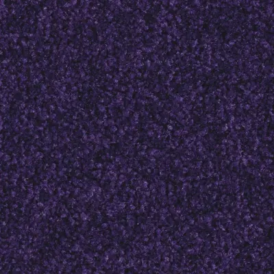 Scénario Moquette Scénario BLUEBERRY