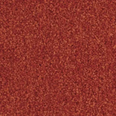 Scénario Moquette Scénario CAPUCINE