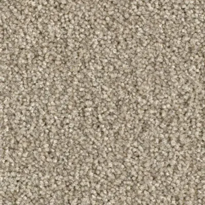 Scénario Moquette Scénario SESAME