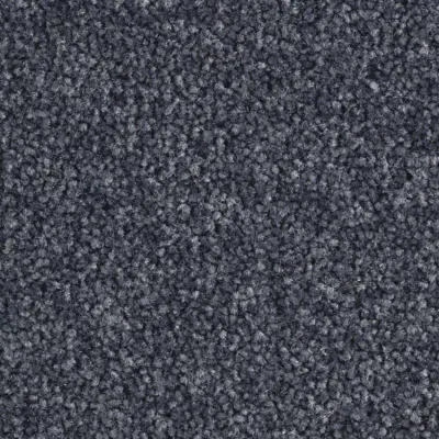 Scénario Moquette Scénario LOUP