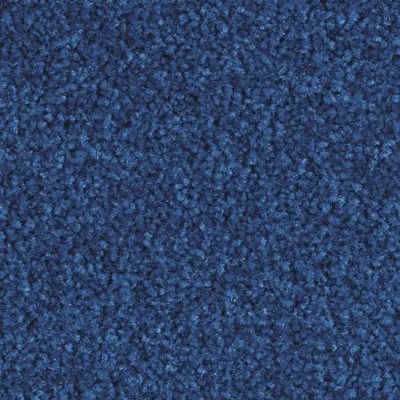 Scénario Moquette Scénario ELECTRIC