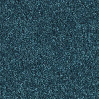 Scénario Moquette Scénario AMAZONE