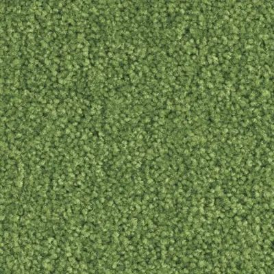Scénario Moquette Scénario JUNGLE